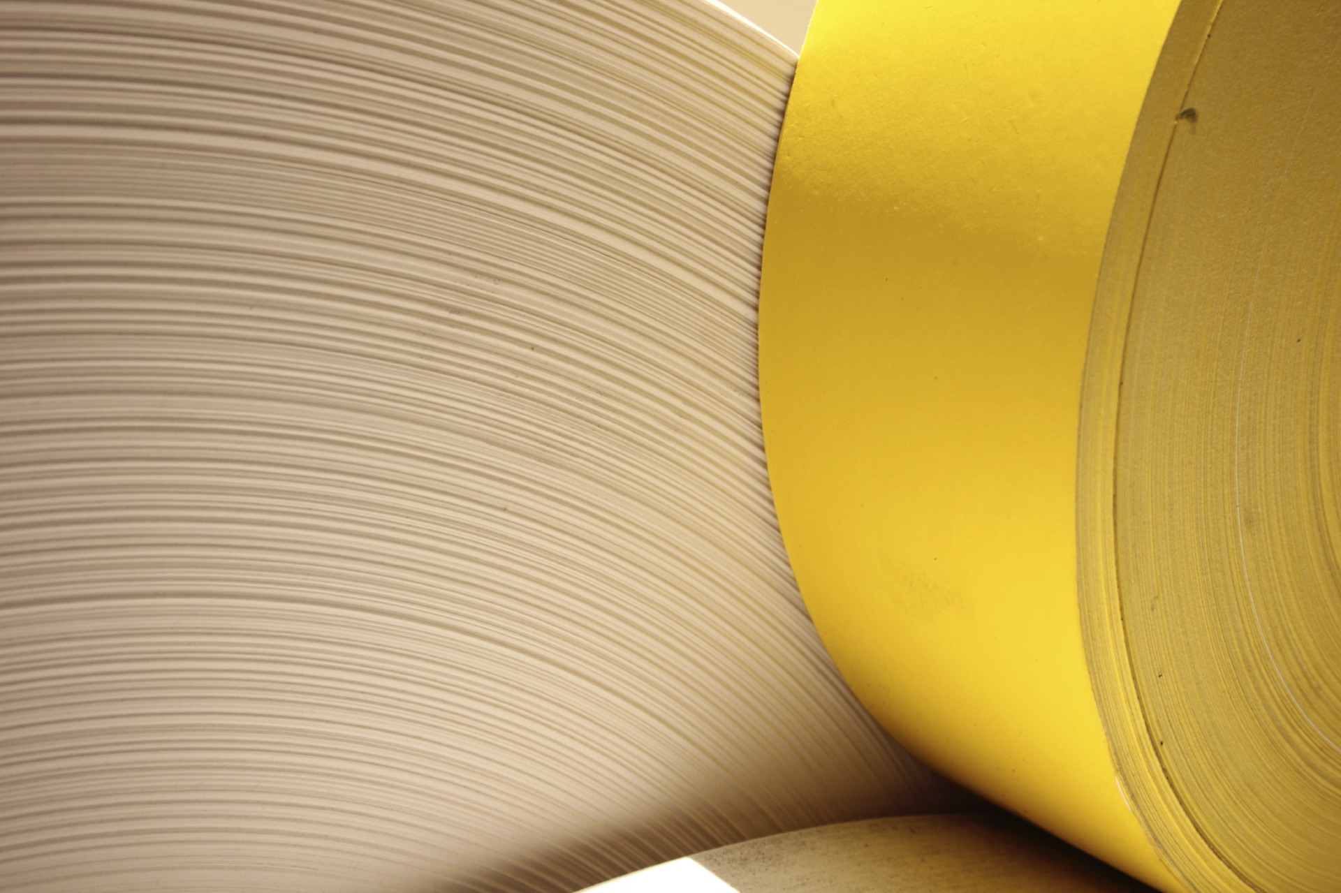 Pulp & Paper Filtration Solutions | Venefilter