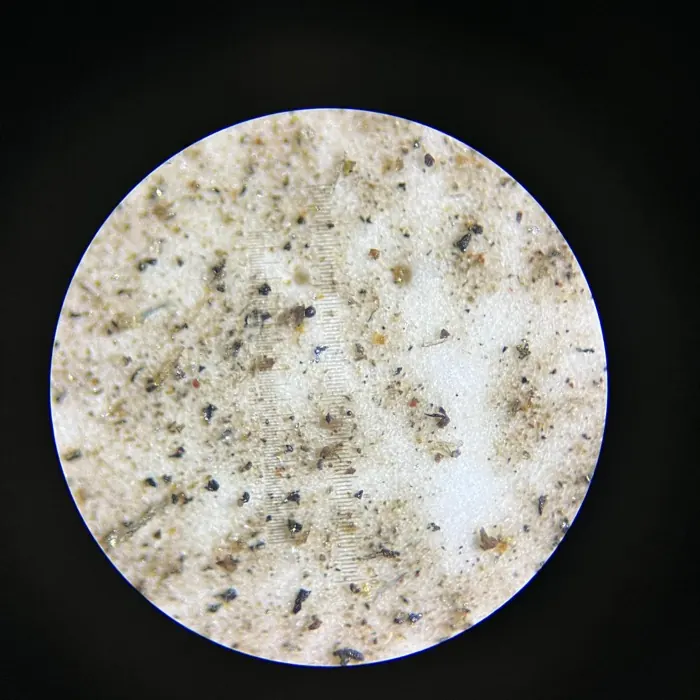 Membrana de muestra contaminada vista al microscopio