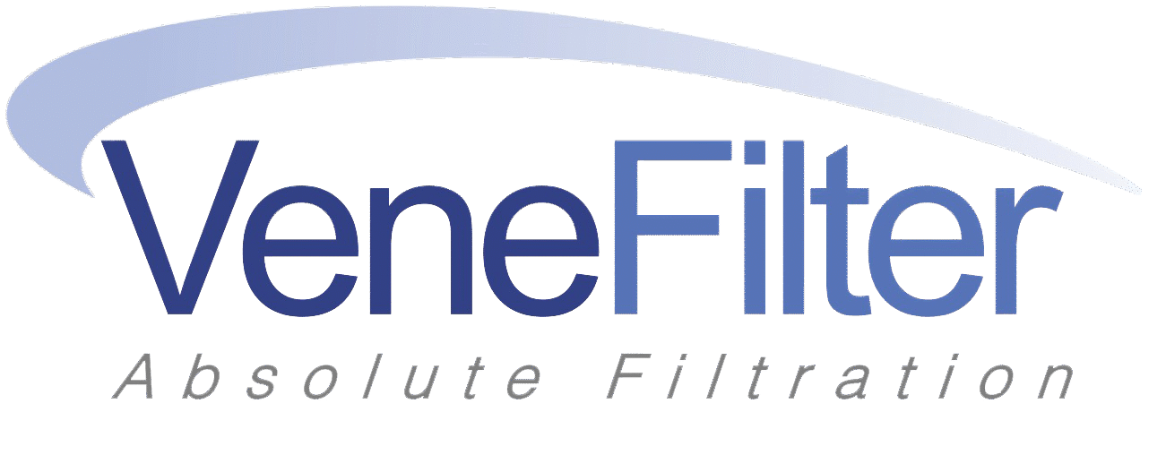 VF LOGO 2025